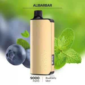 Alibarbar Ingot Blueberry Mint - 9000 Puffs