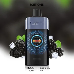 The Ultimate IGET ONE 12000 Review: Discover 12,000 Puffs of Premium Vaping Satisfaction